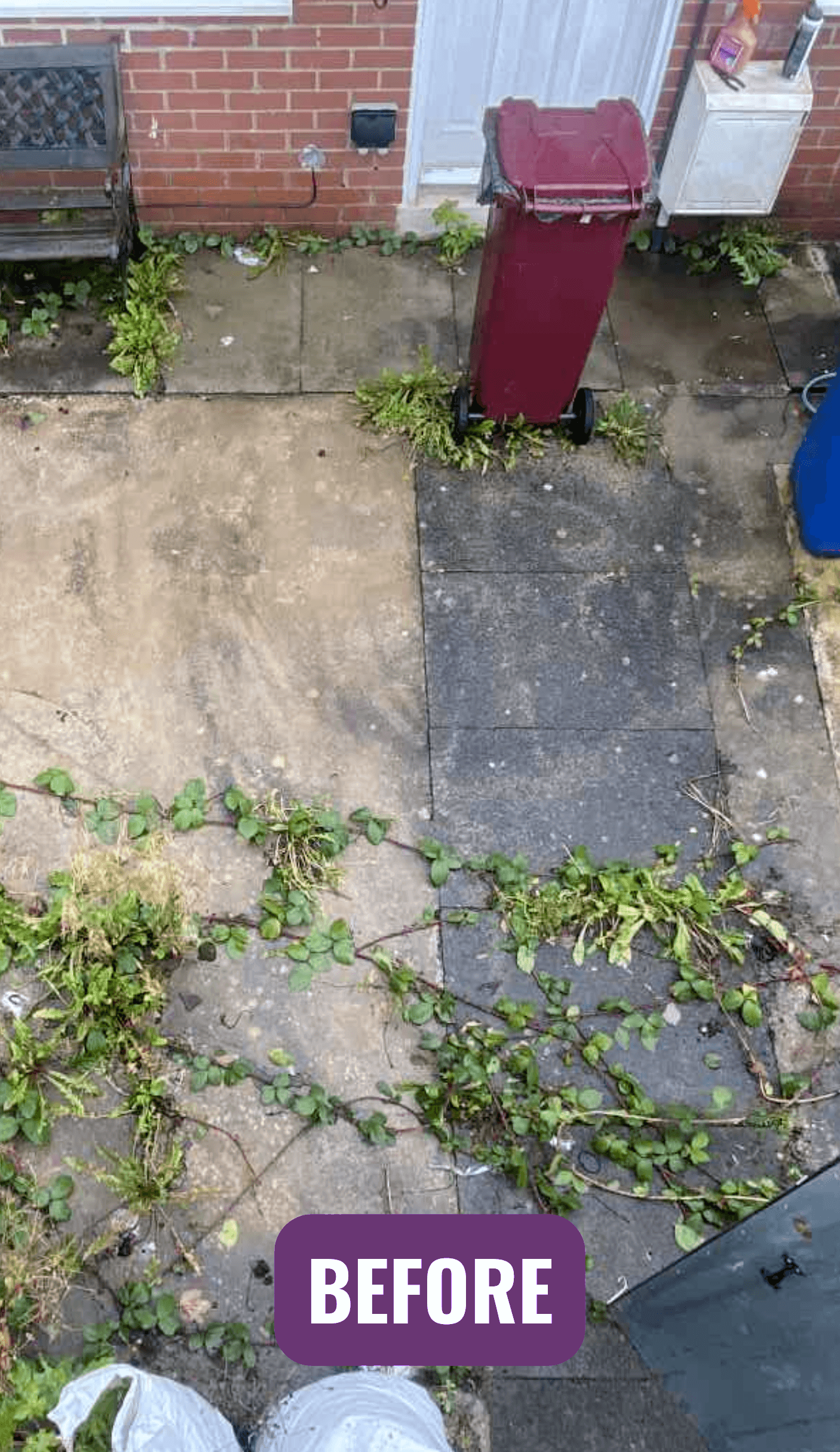 Before: a weed-covered yard of old slabs